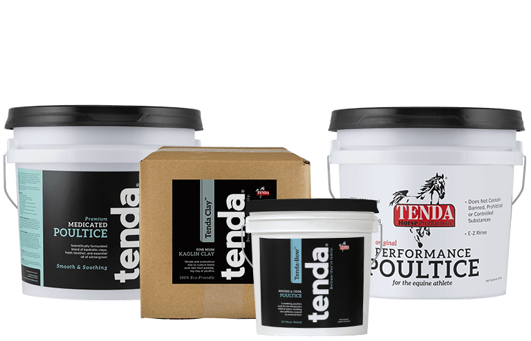 Equine Clay Poultice - Tenda Horse Equine & Pet Care Products